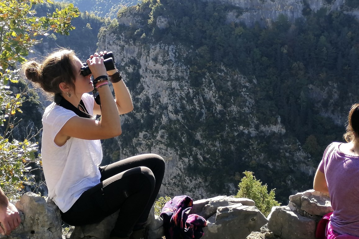 observacion de la naturaleza