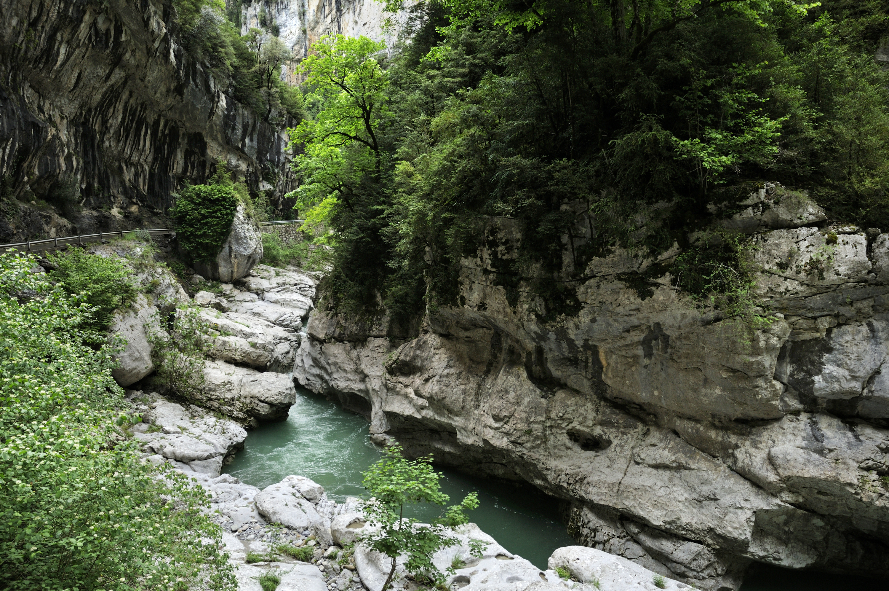 Añisclo en primavera